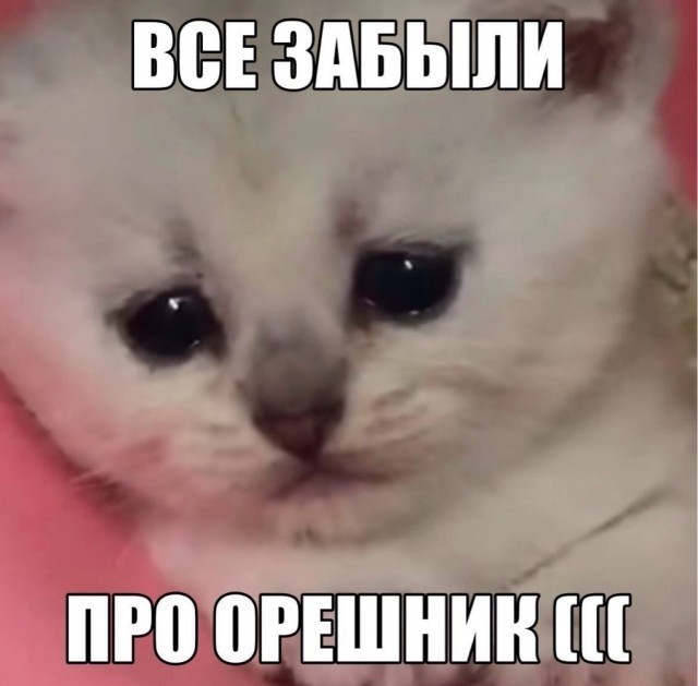 Отечественные товары для рыбалки. Есть ли они сейчас?
