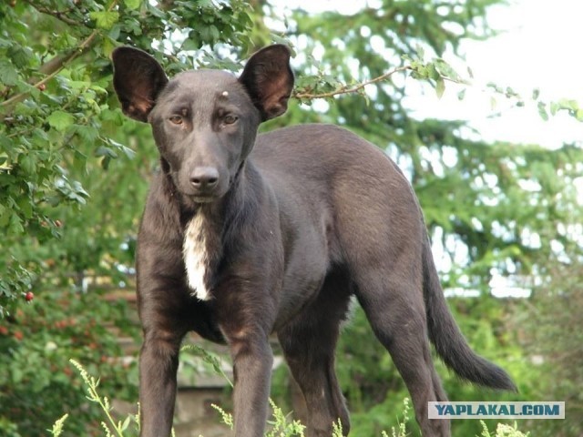 Три разных Путина