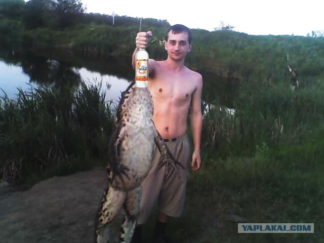 Вот такие у нас лягушки!
