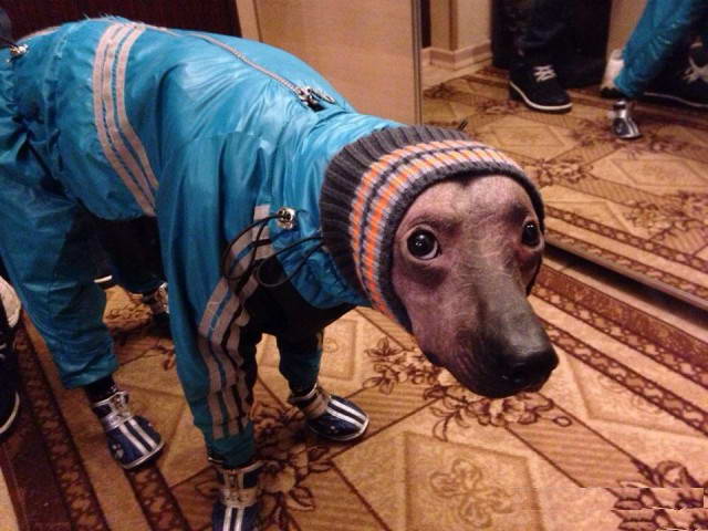 Как нам надоело жить в хрущёвке.