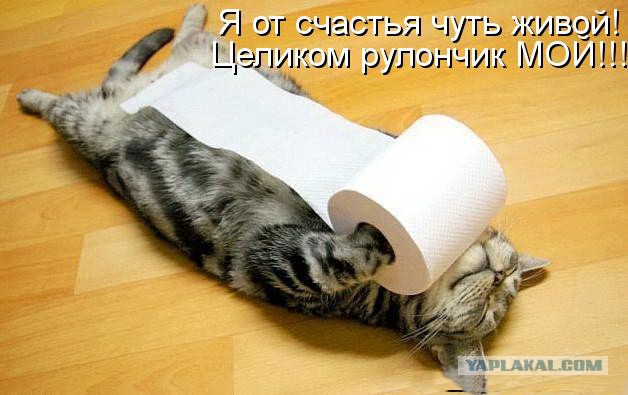 Осада туалета.