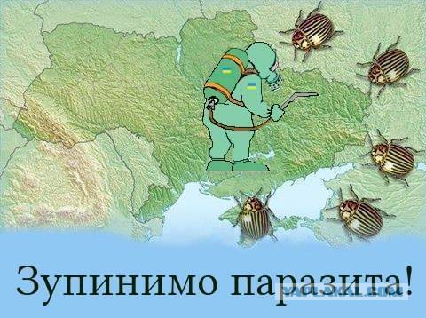 Совет русским в России от русских на Украине.