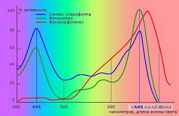 Мой ответ санкциям