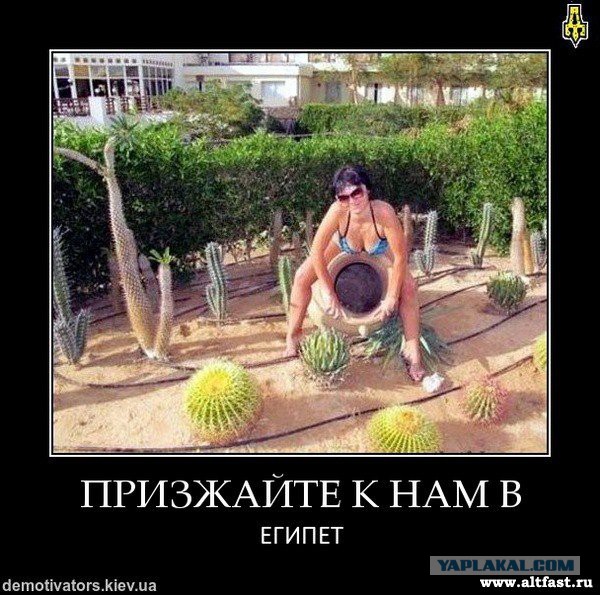 А ваша жена ездит отдыхать одна?