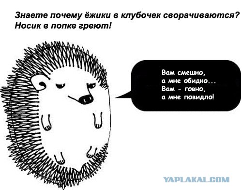 Утренний депрессивный ежик
