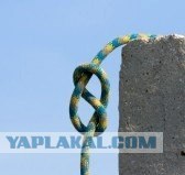 8 марта близко-близко,