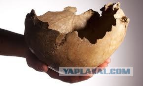 Инструкция для начинающего бармена