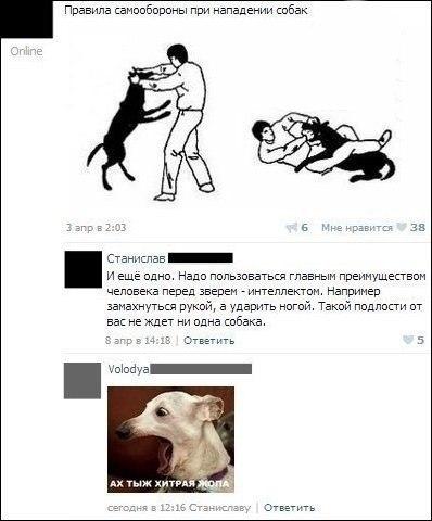 Ужасы и приколы из соцсетей 18+