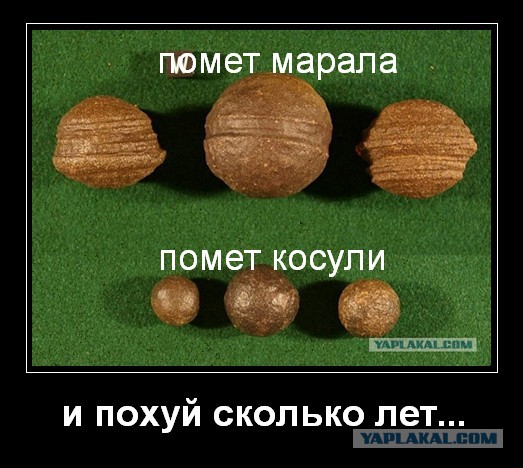 Загадочные предметы возрастом 3 миллиарда лет