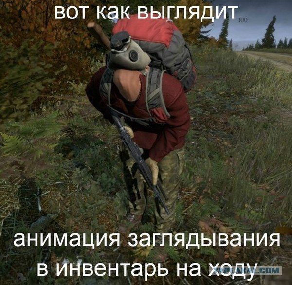 Весёлые картинки