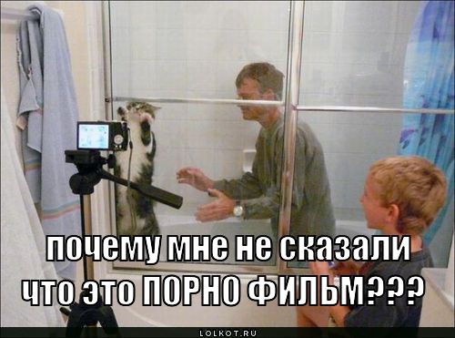 Мурка Грей.