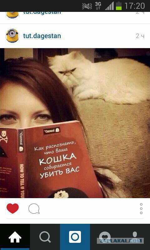 Смешные комментарии из сети.