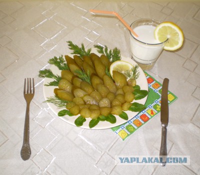 Как кормить немца, если ты русская.