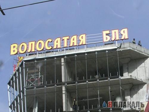 Фотожаба: Золотая Мля