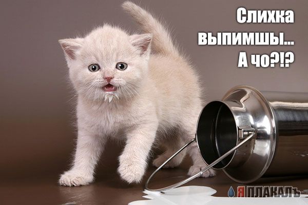 Уже да :) Ужо пятнецца...