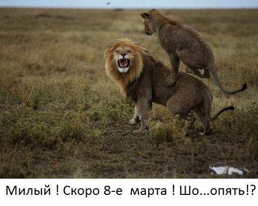 Смешные картинки