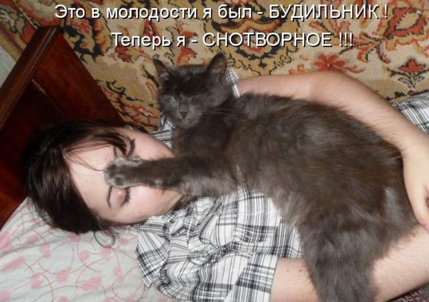 Мохнатые беспредельщики