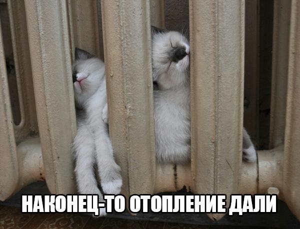 Винегрет фоток на пятницу...