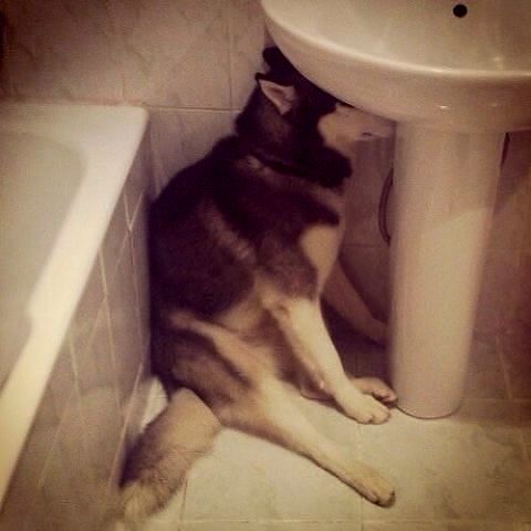 Кто?! Признавайтесь!