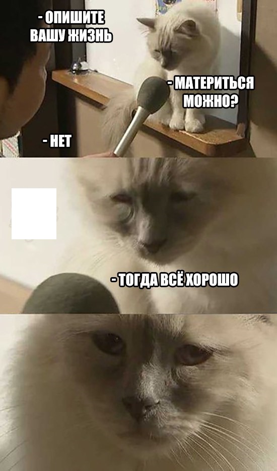 Порция картинок из сети.