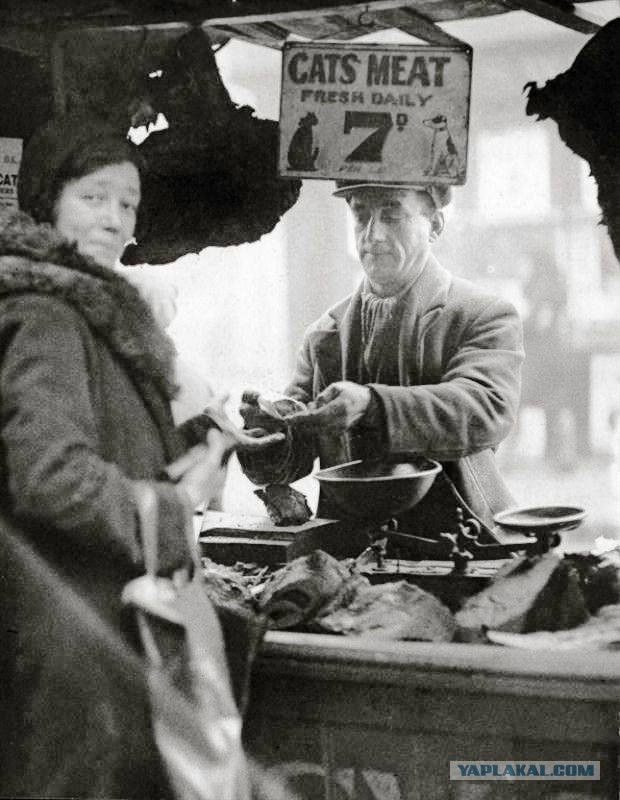 Ассорти винтажных фотографий