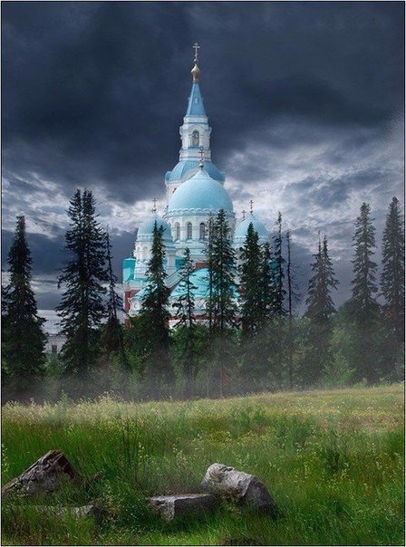 Моменты, запечатлённые на фото и просто позитив 5