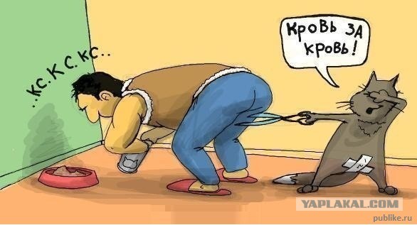 За издевательства над животными только тюрьма: срок от двух до семи лет!