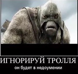 В Хабаровске сегодня начнётся суд над живодерками