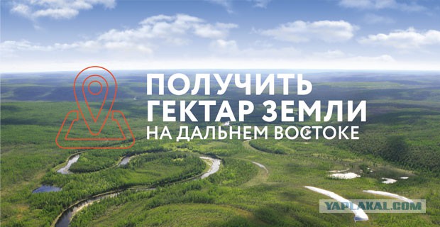 Омичу грозит шесть лет тюрьмы за установку пиратских программ
