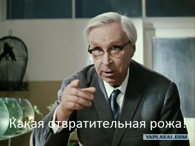 Мажоры устроили гонки на скорости 270 км/ч под Москвой