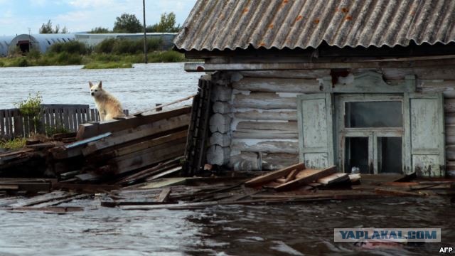 На Дальнем Востоке пришли в ужас от домов, построенных после наводнения