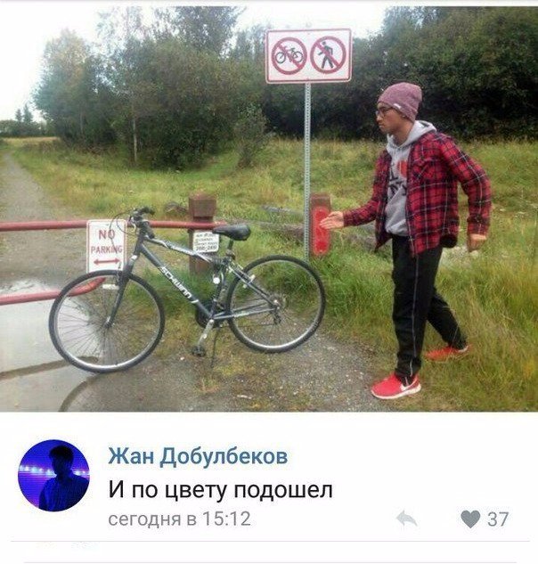 Подборка интересных и веселых картинок
