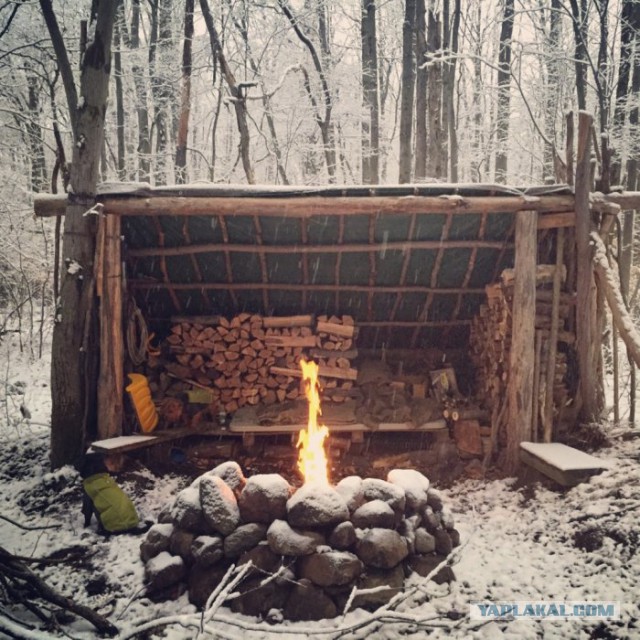 Оплот одиночества