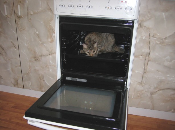 КОТовторник 13.04.2010г.