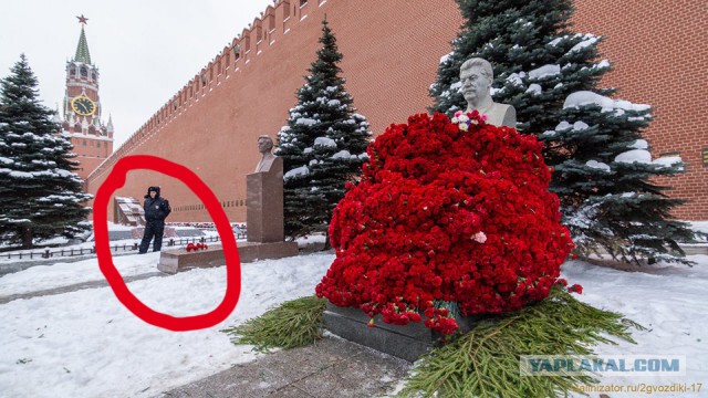 13 500 алых цветов возложено к могиле Сталина в Москве