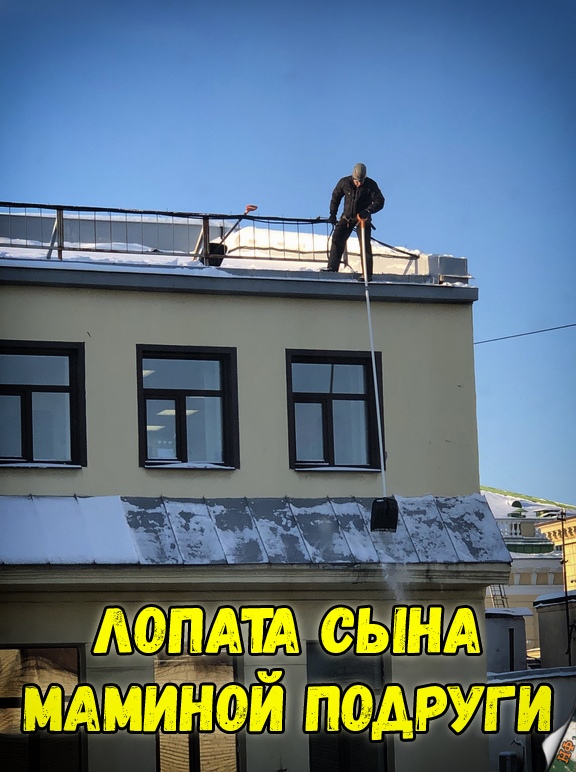 Прикольные картинки абавсём