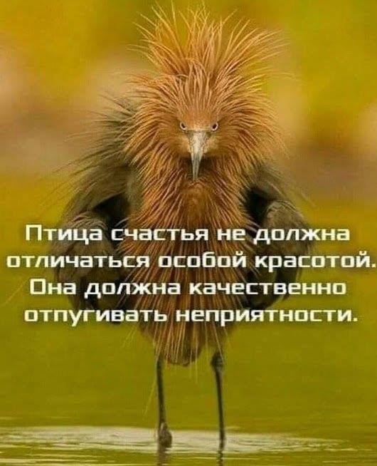 Живность 15.03.20