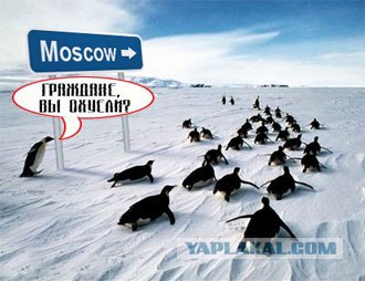 Фотожаба: Граждане!
