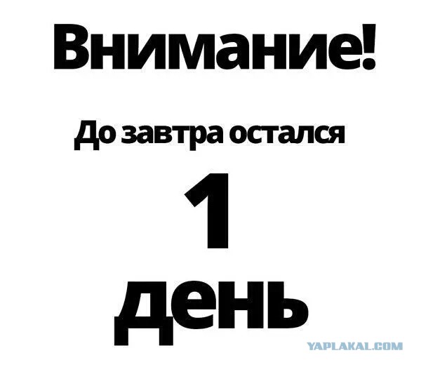Главное без паники
