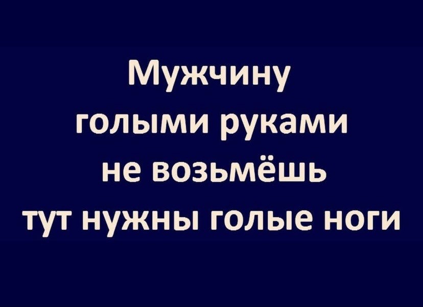15687848.jpg