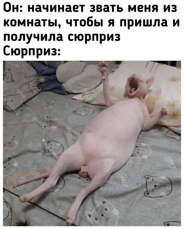 Мемасы (Пошлятина и мат)