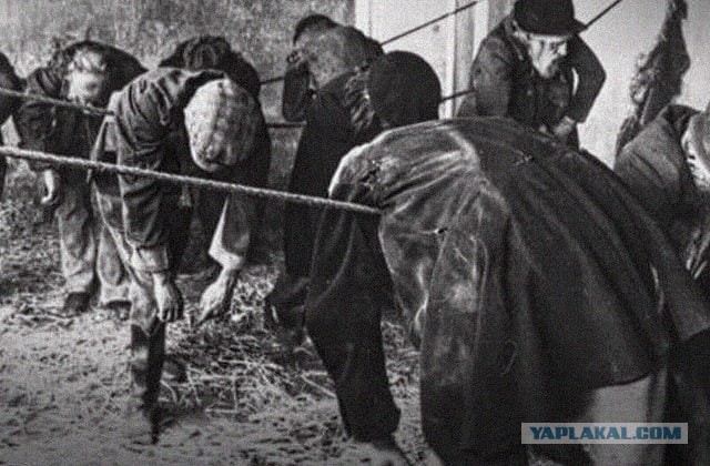 17 любопытных исторических фотографий, каждая из которых несет в себе частичку новых знаний