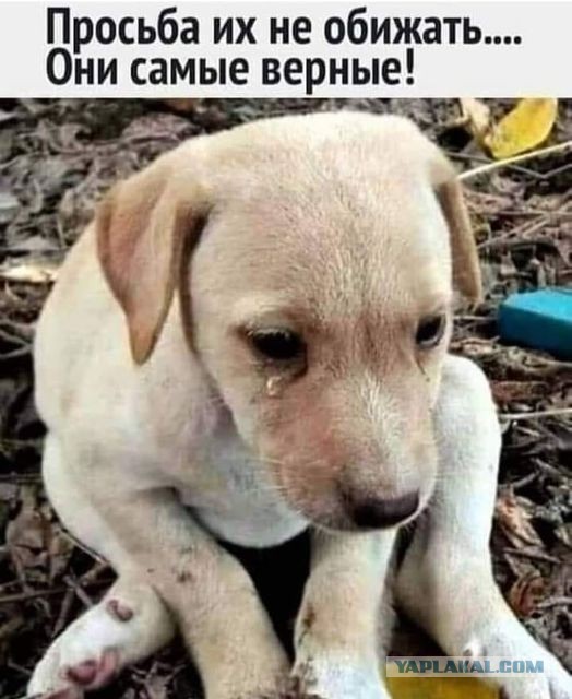 Картинки и мемы, всем хороших выходных