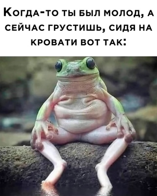 Немного картинок для настроения - 112
