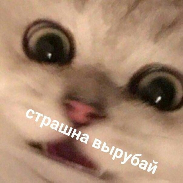 Вы там еще живы?