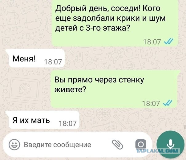 Так себе картинки 24.11.23