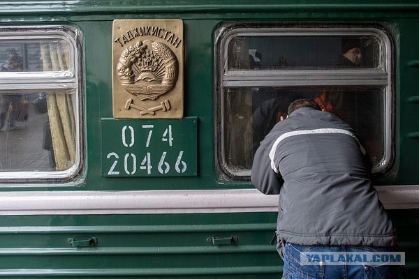 Трудовые мигранты из стран СНГ массово покидают Россию. Смогут ли их заменить работники из Индии и Северной Кореи?