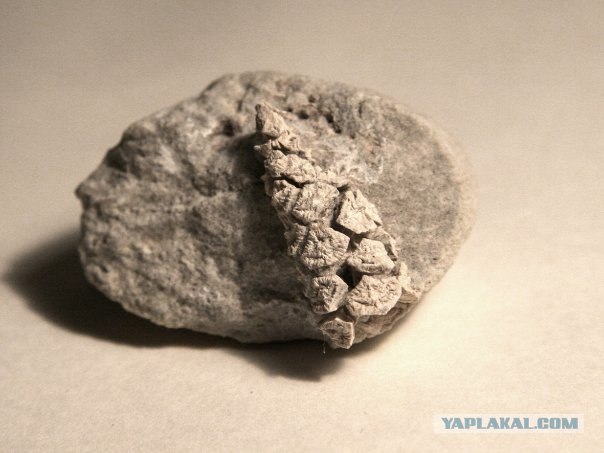 История мира у нас под ногами