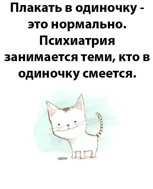 Так себе картинки 13.08.25