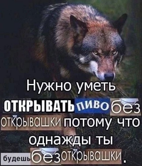 Папа, а кто такой диктатор?